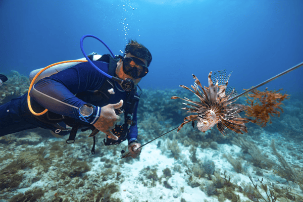Wreck & Reef Diving 2 Tanks